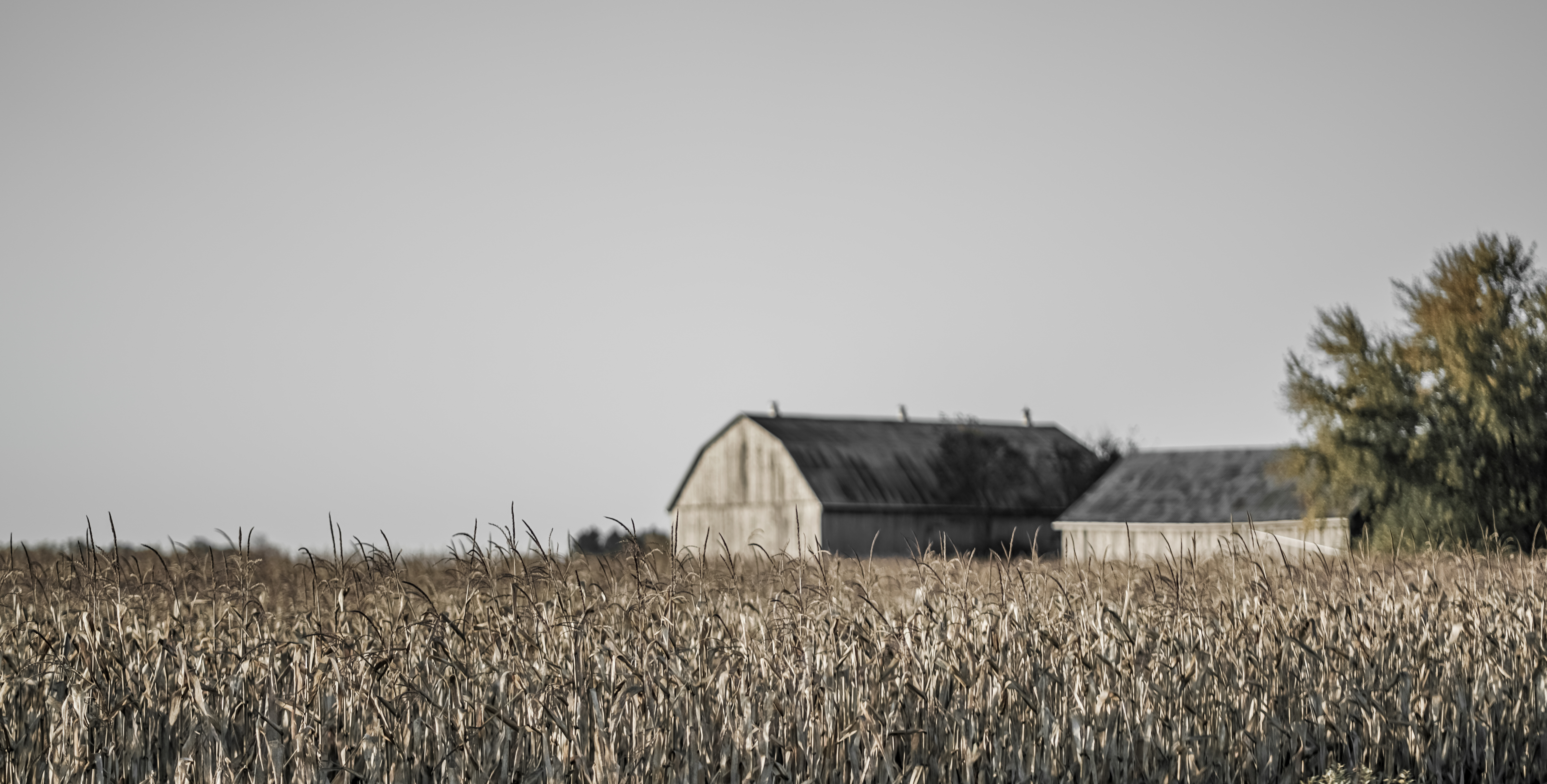 FarmLife 06224