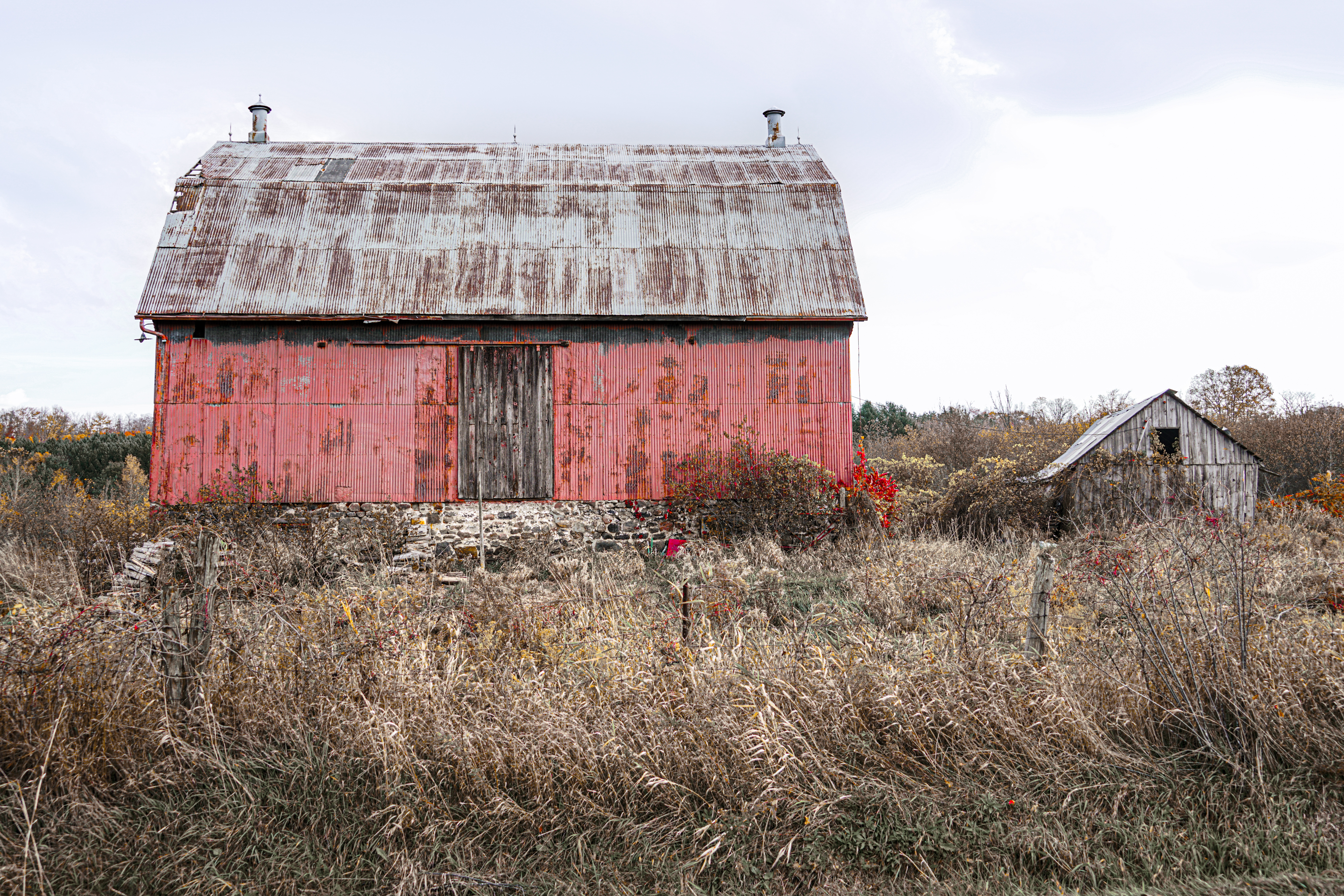 OldBarn 06524