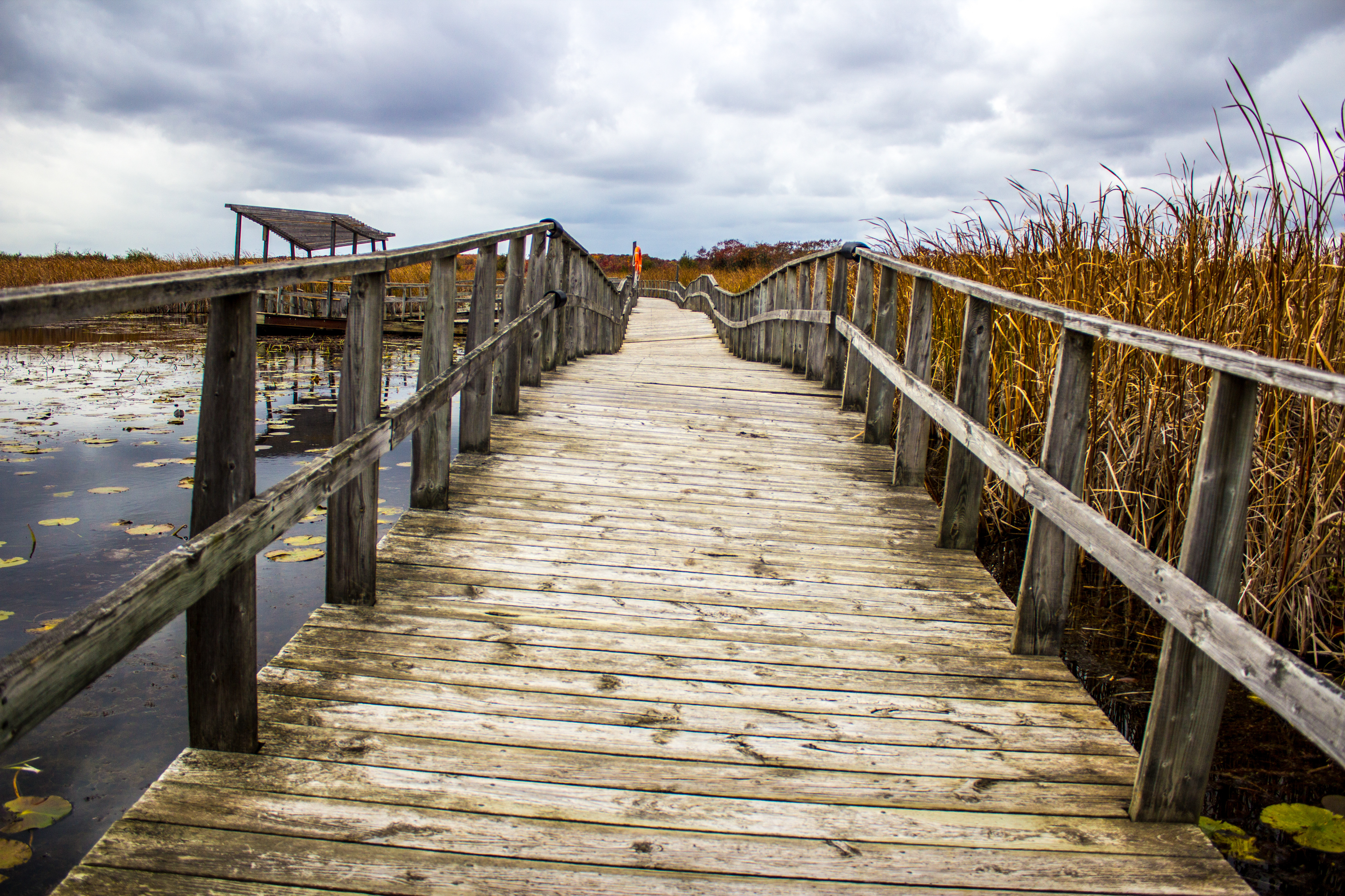 OldMarshDockPath 2402