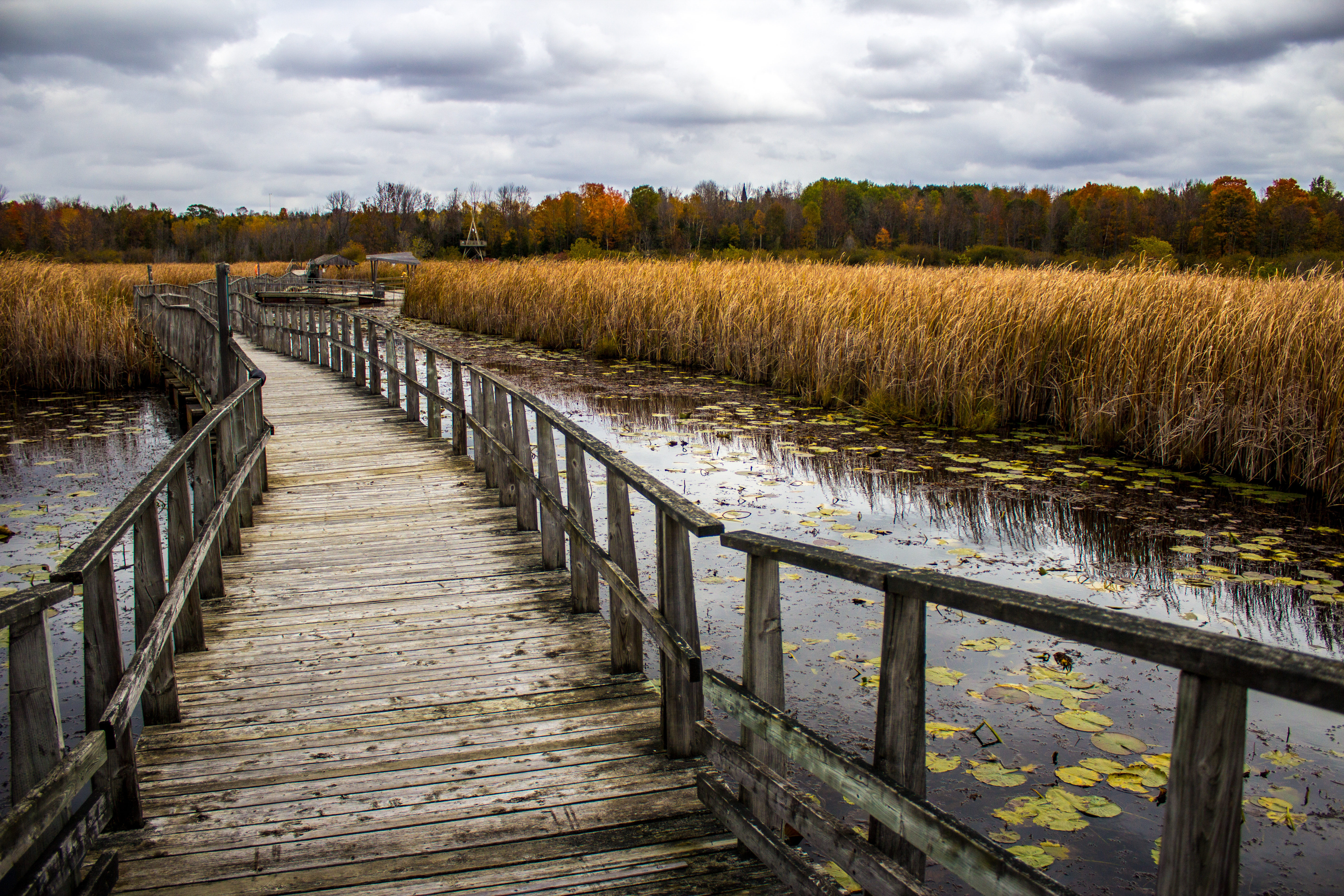 OldWyeMarshPath 2407